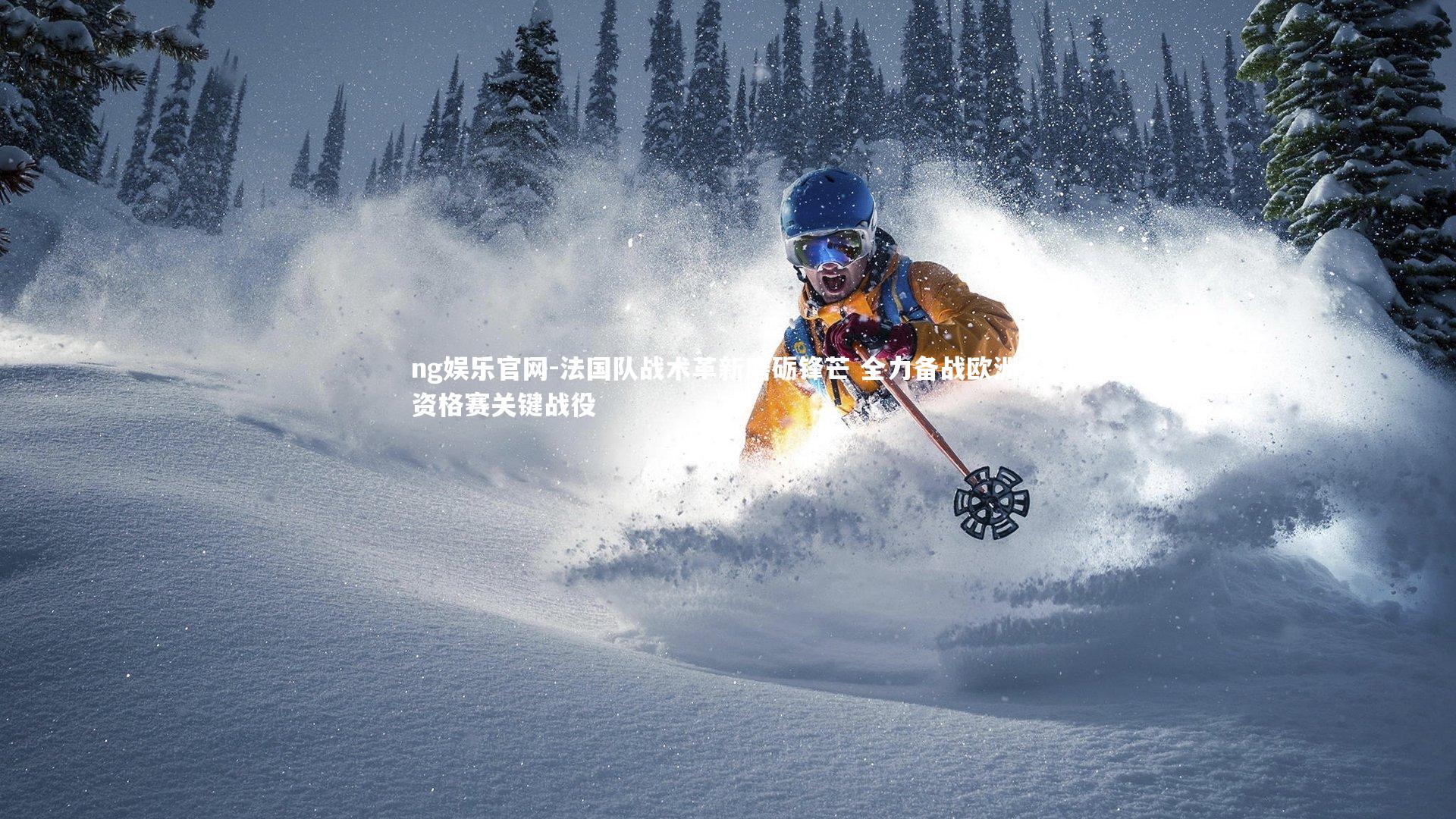 法国队战术革新磨砺锋芒 全力备战欧洲杯资格赛关键战役