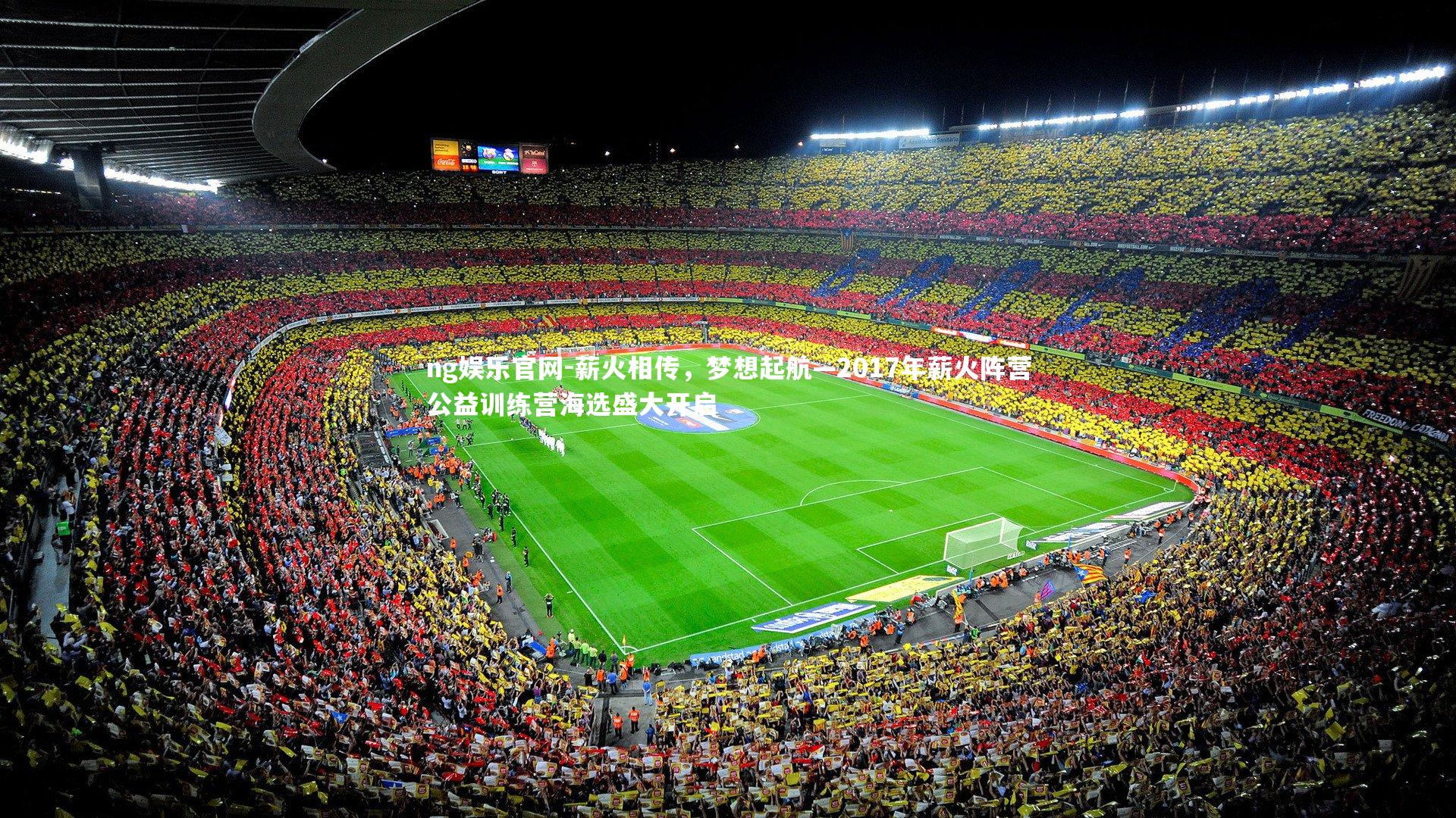 薪火相传，梦想起航—2017年薪火阵营公益训练营海选盛大开启